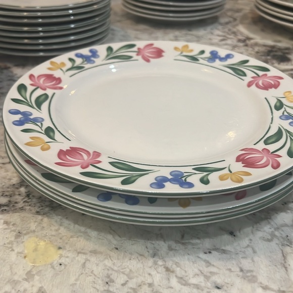 Farberware Stoneware Dorchester Plates - Picture 4 of 6